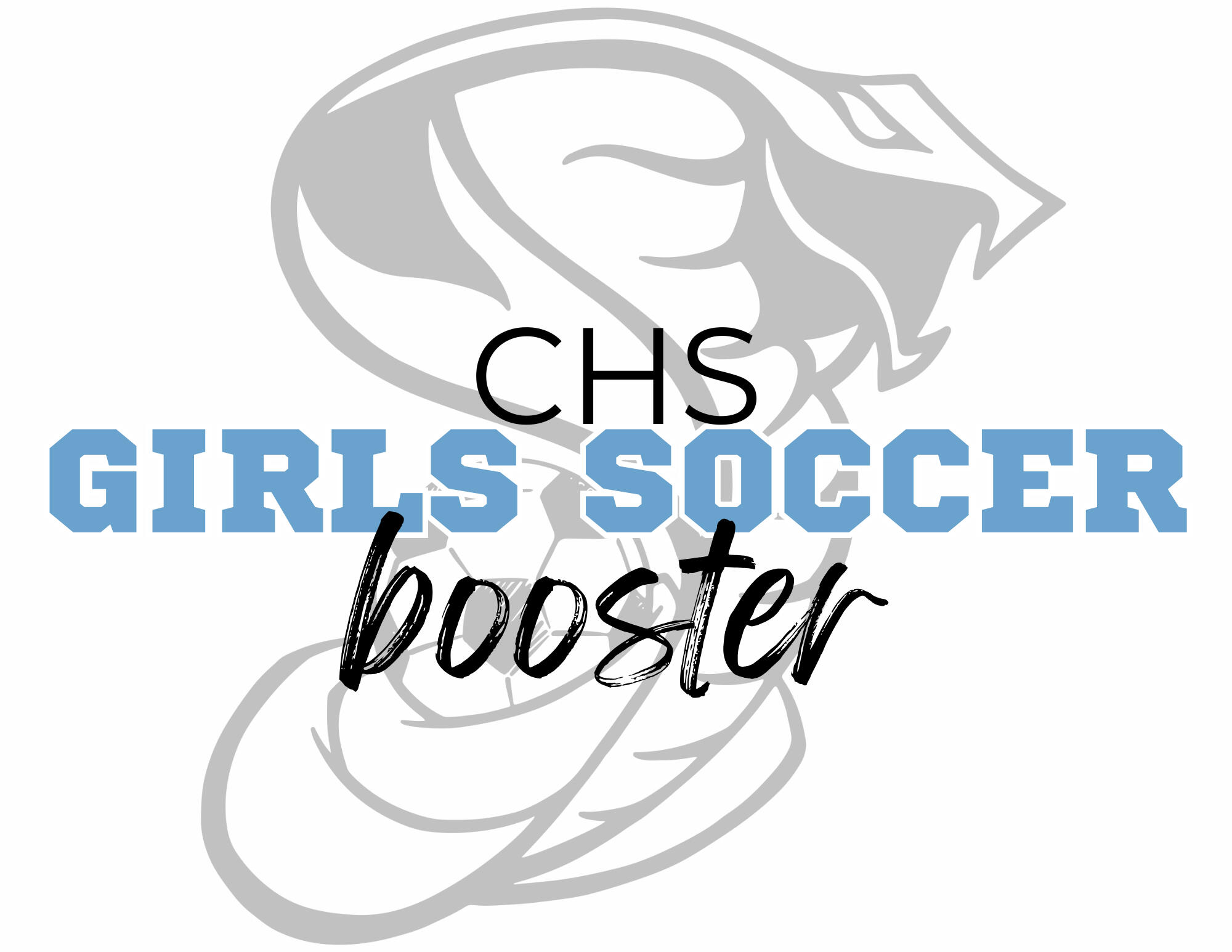 CACTUS High School Girls Soccer Booster CACTUS High School Girls Soccer Booster